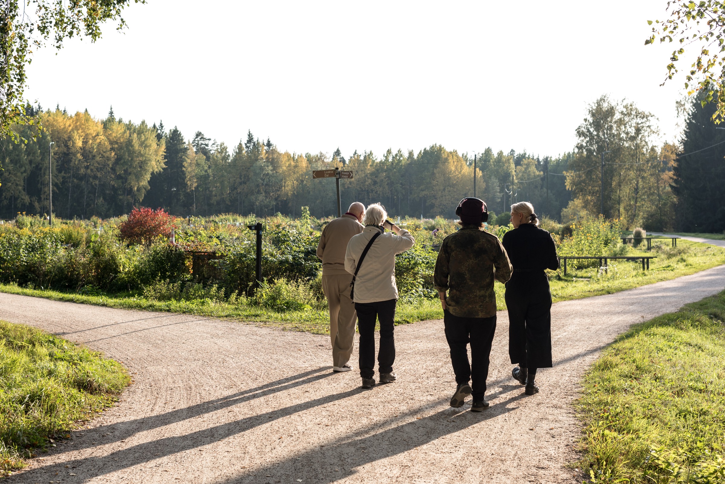 Central Park sound walk at Allotments
