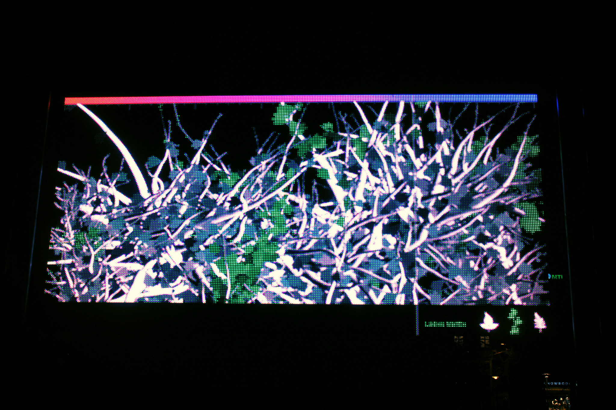 Organic Cinema on LED screen